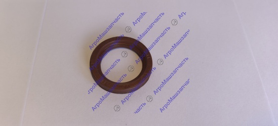 САЛЬНИК 35*48 ВАЛА ПЕРВ ГАЗ-31029-1701044 КРАСНЫЙ