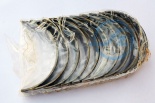ВКЛАДЫШИ КОР 740-1000104  1.5  Р3