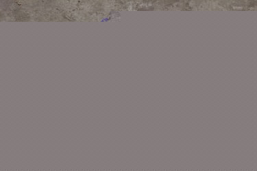 ШКВОРЕНЬ 3302-3000101 КОМПЛ НА МАШ RIGINAL