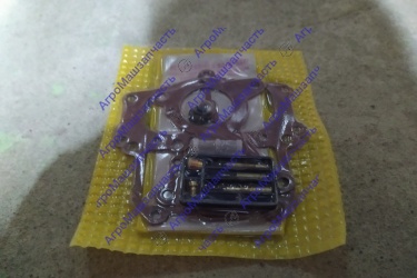 РЕМКОМПЛЕКТ КАРБЮРАТОРА К-126ГМ